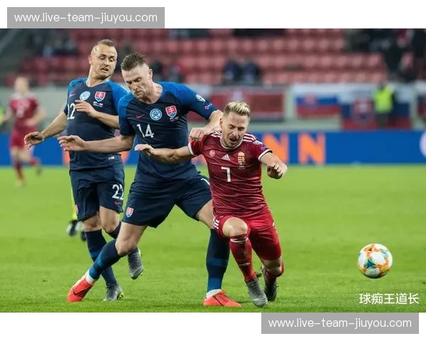 法国vs瑞士：一场荡气回肠的欧洲杯史诗，比分背后隐藏的足球哲学